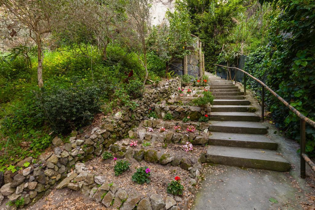 Nitrodi Experience Konuk evi Barano dʼIschia Dış mekan fotoğraf