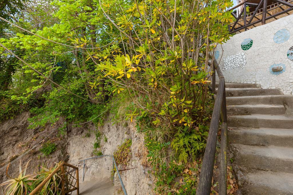 Nitrodi Experience Konuk evi Barano dʼIschia Dış mekan fotoğraf