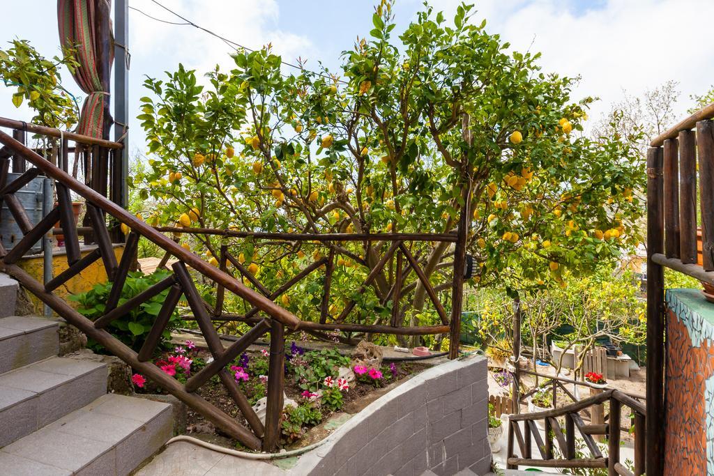 Nitrodi Experience Konuk evi Barano dʼIschia Dış mekan fotoğraf