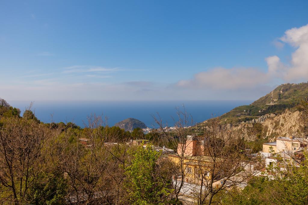 Nitrodi Experience Konuk evi Barano dʼIschia Dış mekan fotoğraf